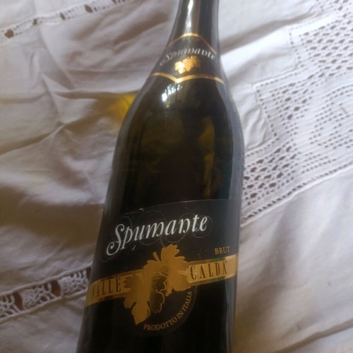 Sparkling wine new, only with Voch