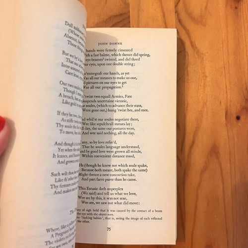 The Metaphysical Poets book, English