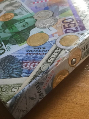 Fancy coin & banknote folder used, medium size