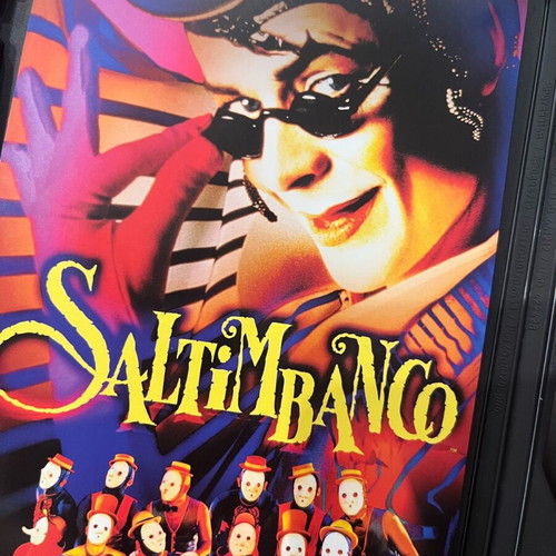 Saltimbanco Cirque du Soleil DVD like new with subtitles