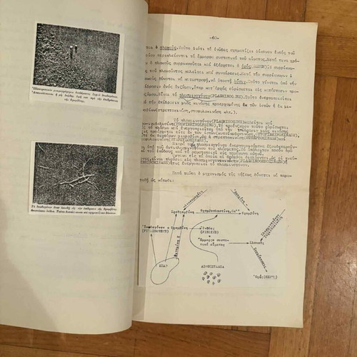 Comparative Physiology volumes A and B used, N. Aspioti