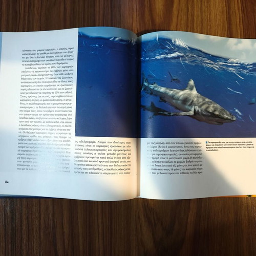 The Encyclopedia of Animals The Shark and the Great Hunters of the Sea Book 1 New