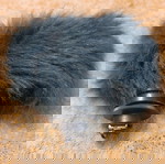 Sony Mini DV camera accessories used