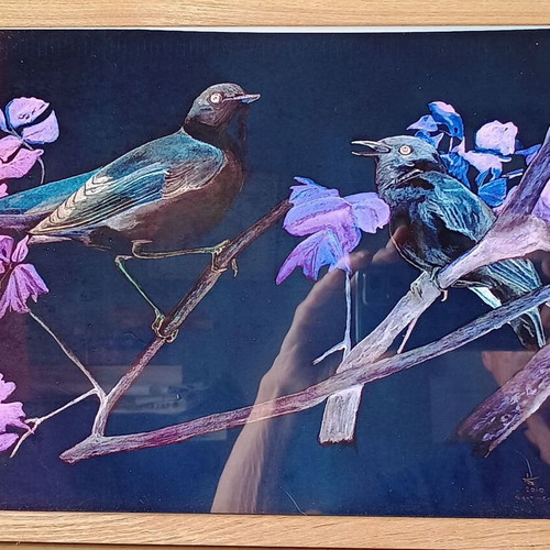 Framed watercolor print of nightingales, new, A4 size