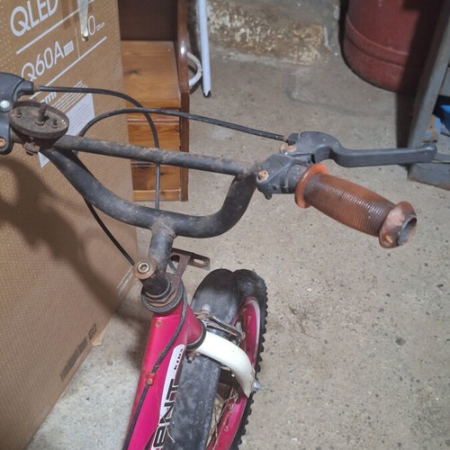 Orient Terry Kids BMX bike, 20 inch wheels, V-brakes