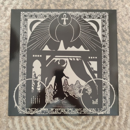The Execute The Antagonistic Shadow LP like new, punk