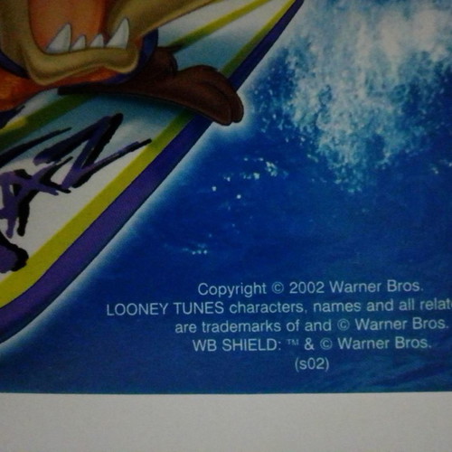 Pokemon Pidgeotto and Taz cards used, pack of 2