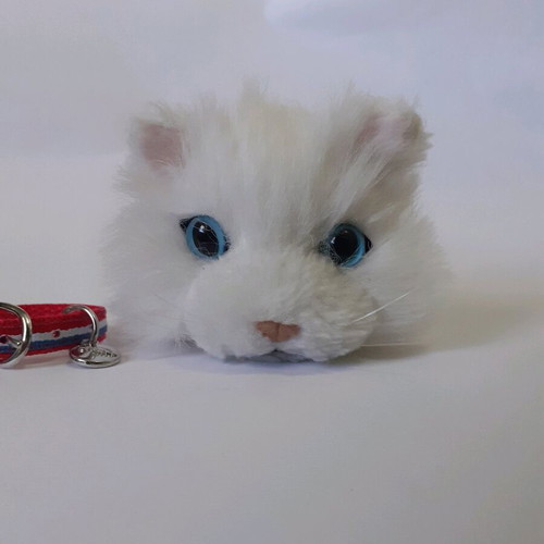 The Cat plush cat set used, two small