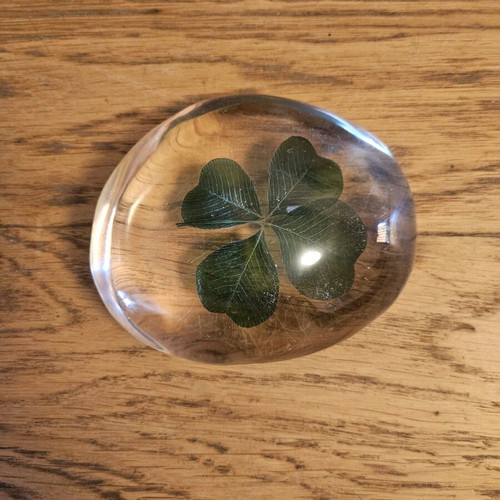Dried clover in plexiglas like new