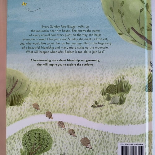 Up the Mountain by Marianne Dubuc like new, English children's book