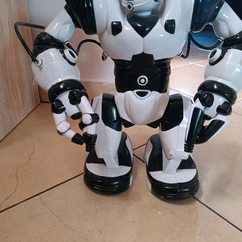 Robot toy used without remote control