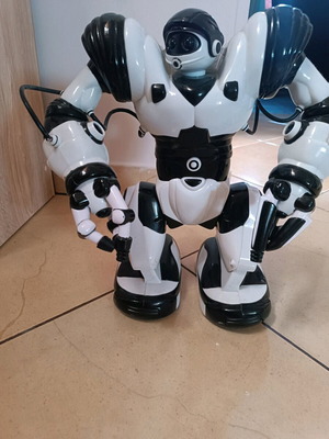 Robot toy used without remote control