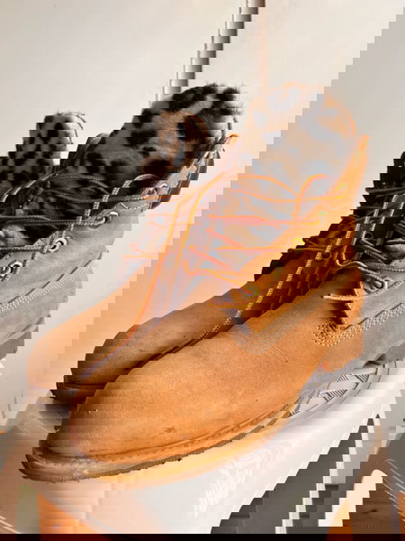 Timberland No.39