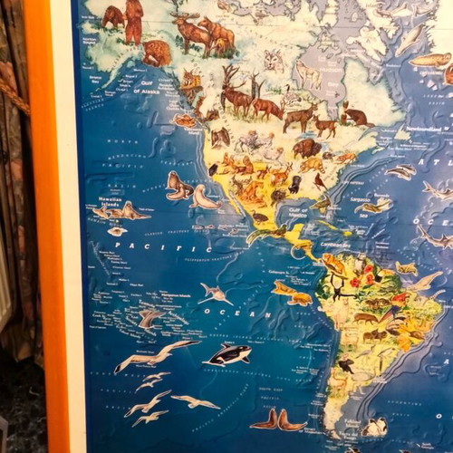 The World of Wild Animals Educational Poster like new, wooden frame