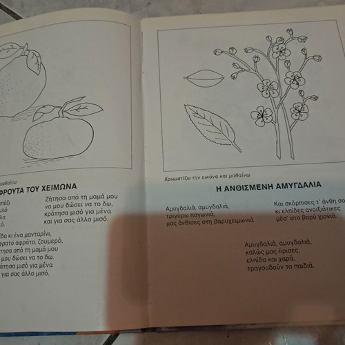 Coloring the Pictures and Learning children's educational book used