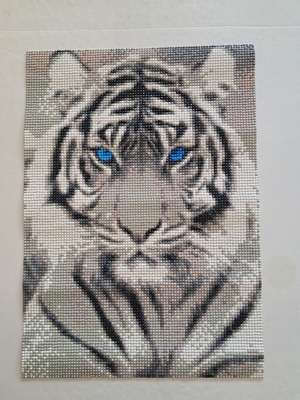 White tiger portrait with blue eyes Diamond Art