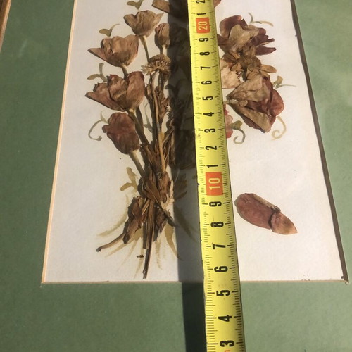 Frames with dried flowers bouquet like new, set of two