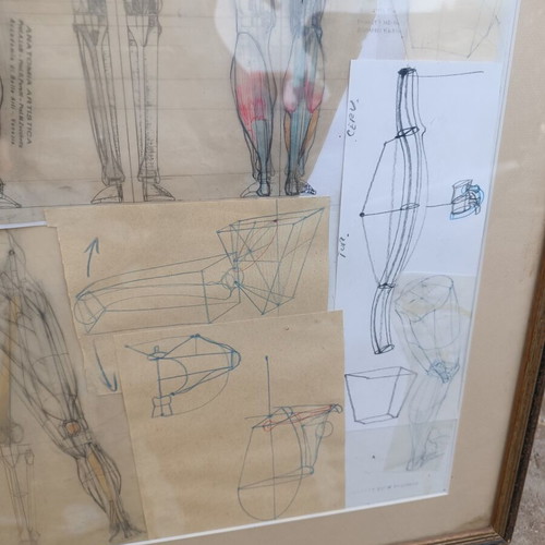 Anatomical Study Board by Efthymios Kollias used, vintage art