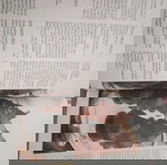  ΤΑ ΓΛΥΚΆ - ΤΟ ΜΕΓΆΛΟ ΒΙΒΛΊΟ ΤΩΝ ΓΛΥΚΏΝ Α ΚΑΙ Β ΤΟΜΟΣ