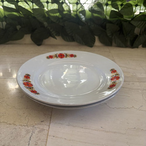 Vintage dinner plates with floral pattern, set of 2, 24 cm