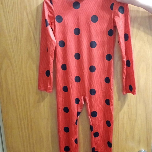 Lady Bug carnival costume for 9-10 years old, like new