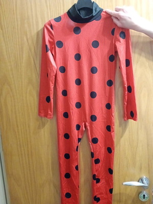 Lady Bug carnival costume for 9-10 years old, like new