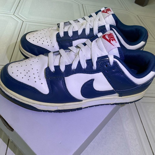 Nike Dunk Low sneakers used, Valerian Blue, size 40.5