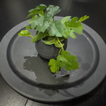 IKEA Black Serving Platter Used Matte Finish
