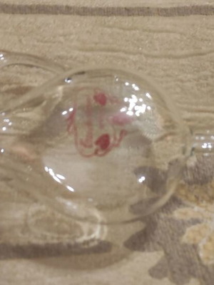Bohemian Crystal Wine Pipe new