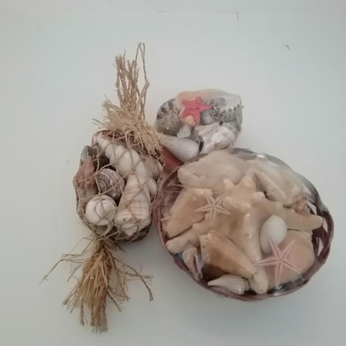 Decorative seashells set with bamboo basket and natural shells