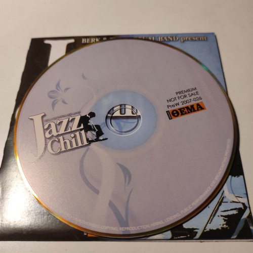 Berk & The Virtual Band Jazz Chill CD collection like new