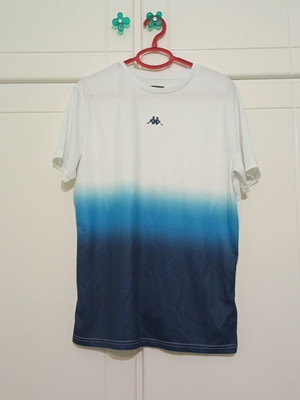 Kappa Spirt T Shirt like new, size L, white and blue