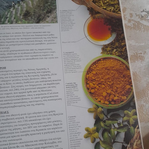 Botanotherapy Large Encyclopedia of Medicinal Plants by Andrew Chevallier used