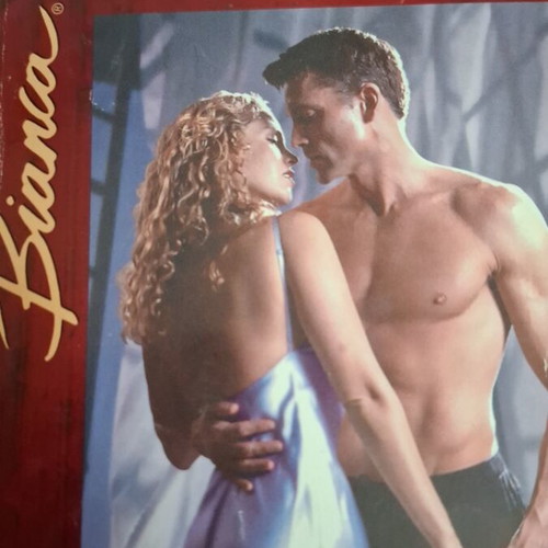 The Mercenary Arlekin Bianca Diana Palmer used book