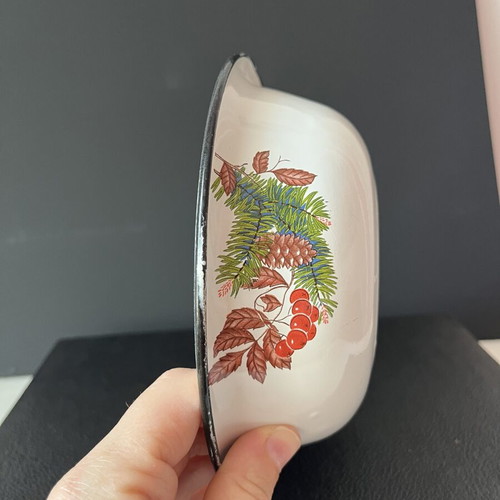Vintage enamel bowl USSR with bullfinch design, 18cm, like new