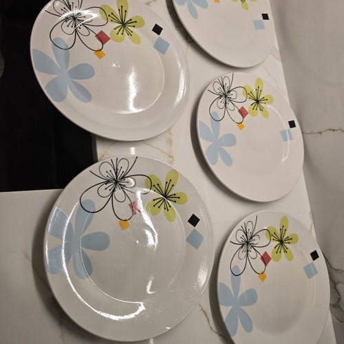 Dinner plates, set of 5
