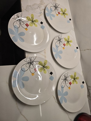 Dinner plates, set of 5