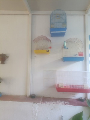 Κλουβιά πουλιών σαν καινούργια, σετ 4 διαστάσεων