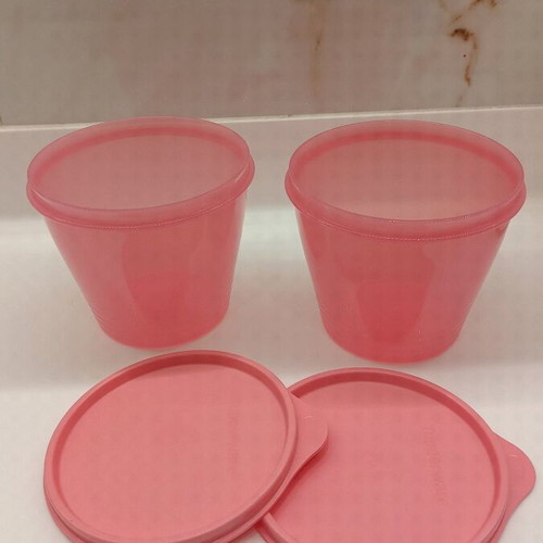 Tupperware set of two containers new