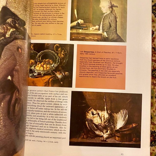 French Painting book used, English