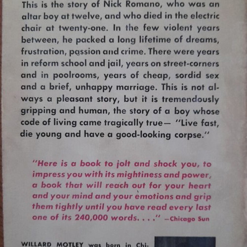 Knock on Every Door by Willard Motley used book