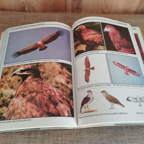 Book Greek Nature like new, complete guide to species exploration 2003