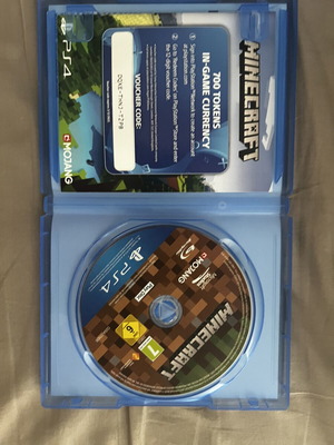 Minecraft PS4 game