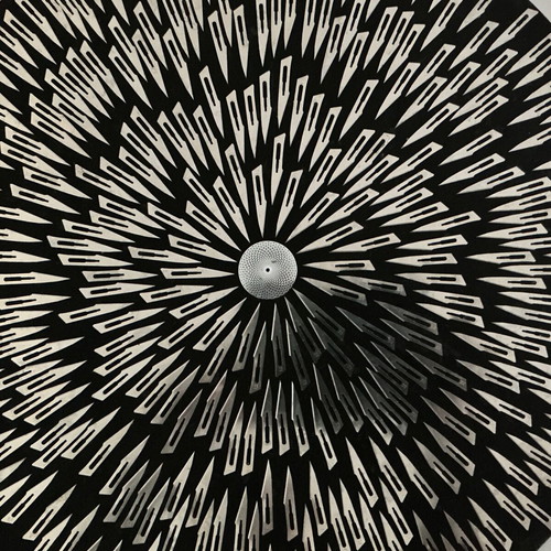 Blades canvas art by Andrew Macleod