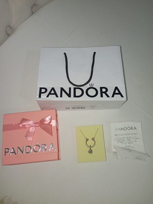 Pandora necklace new with 2 charms and receipt