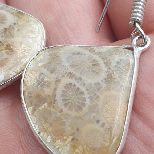 Coral fossil earrings new, silver plated 925