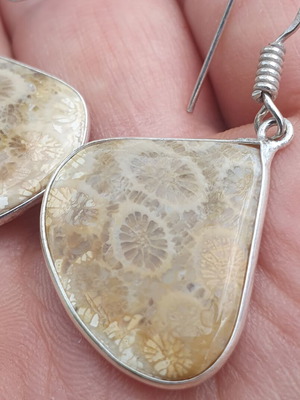 Coral fossil earrings new, silver plated 925