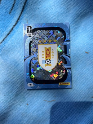 Muntial 2026 Argentina Badge new