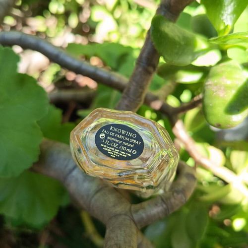 Estée Lauder Knowing Eau de Parfum 1 ml used, authentic