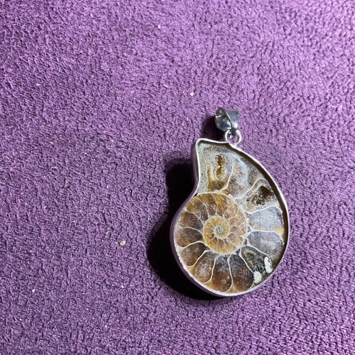 Ammonite pendant new
